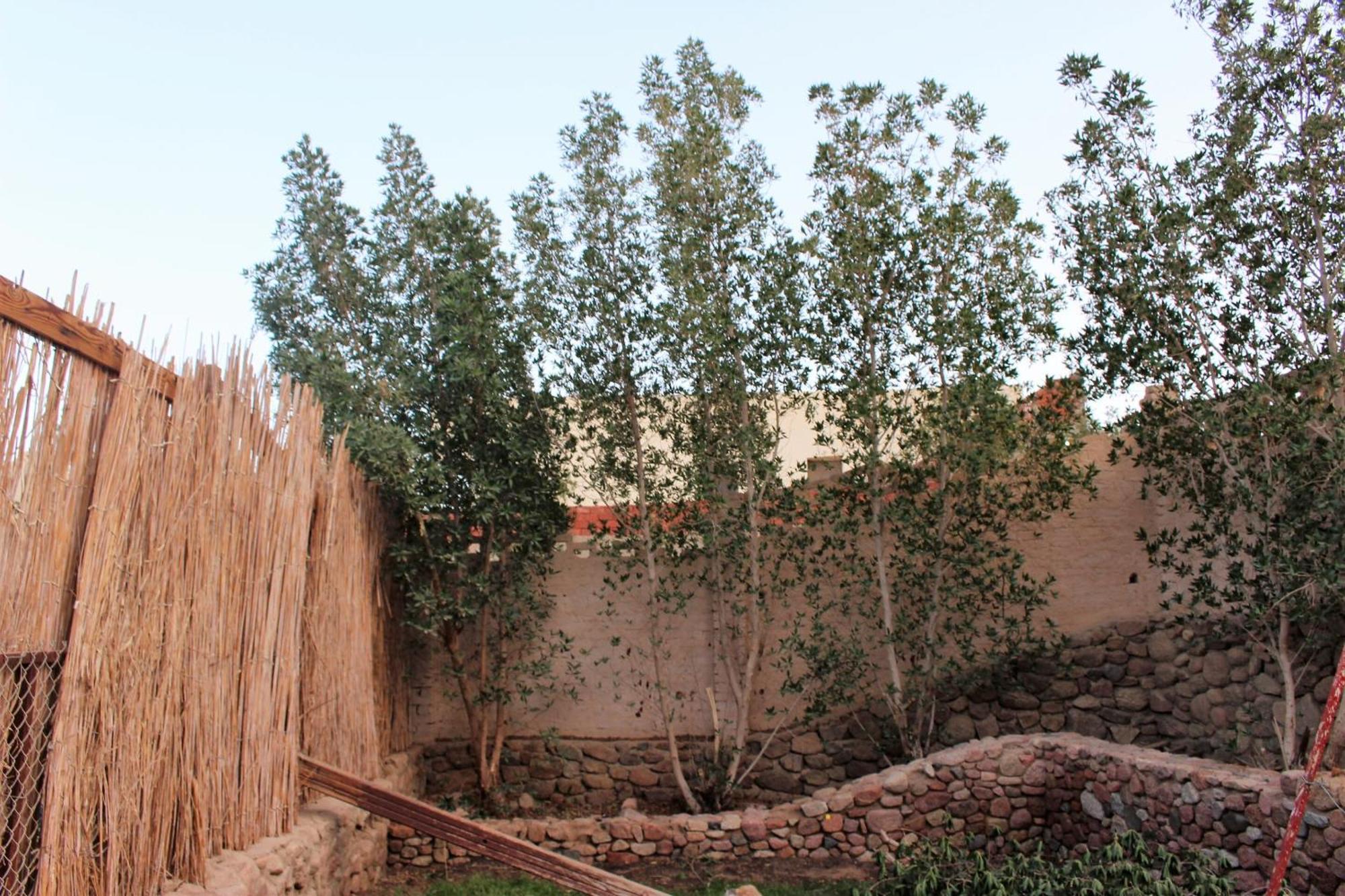 Sinai Old Spices B&B Sharm el-Sheikh Cameră foto